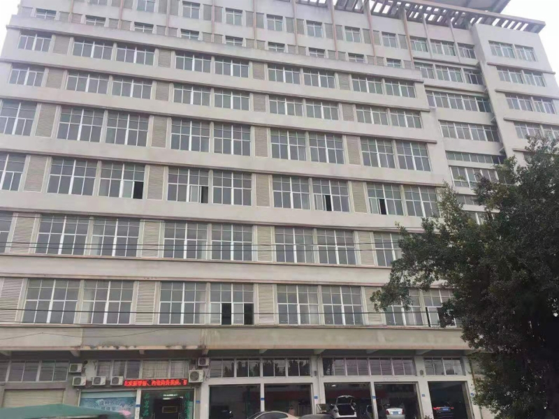 海楼网