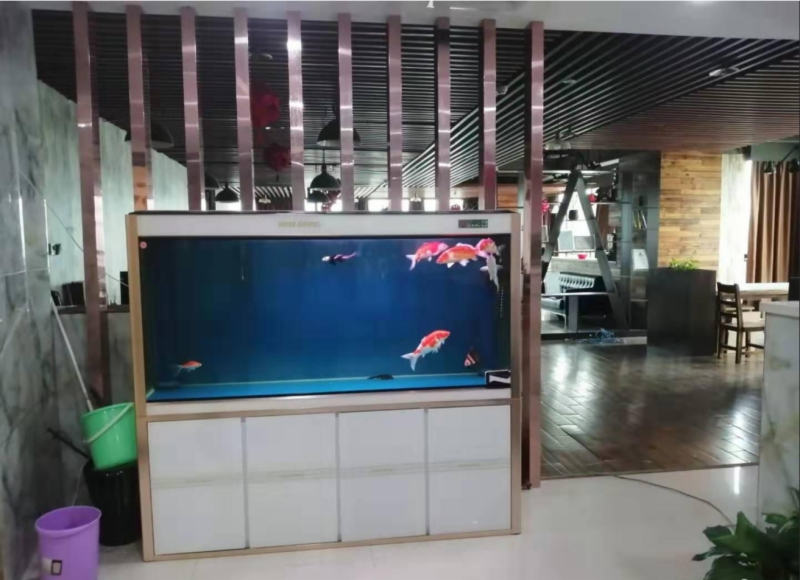 海楼网