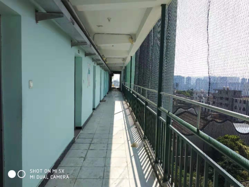 海楼网