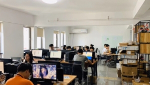 海楼网
