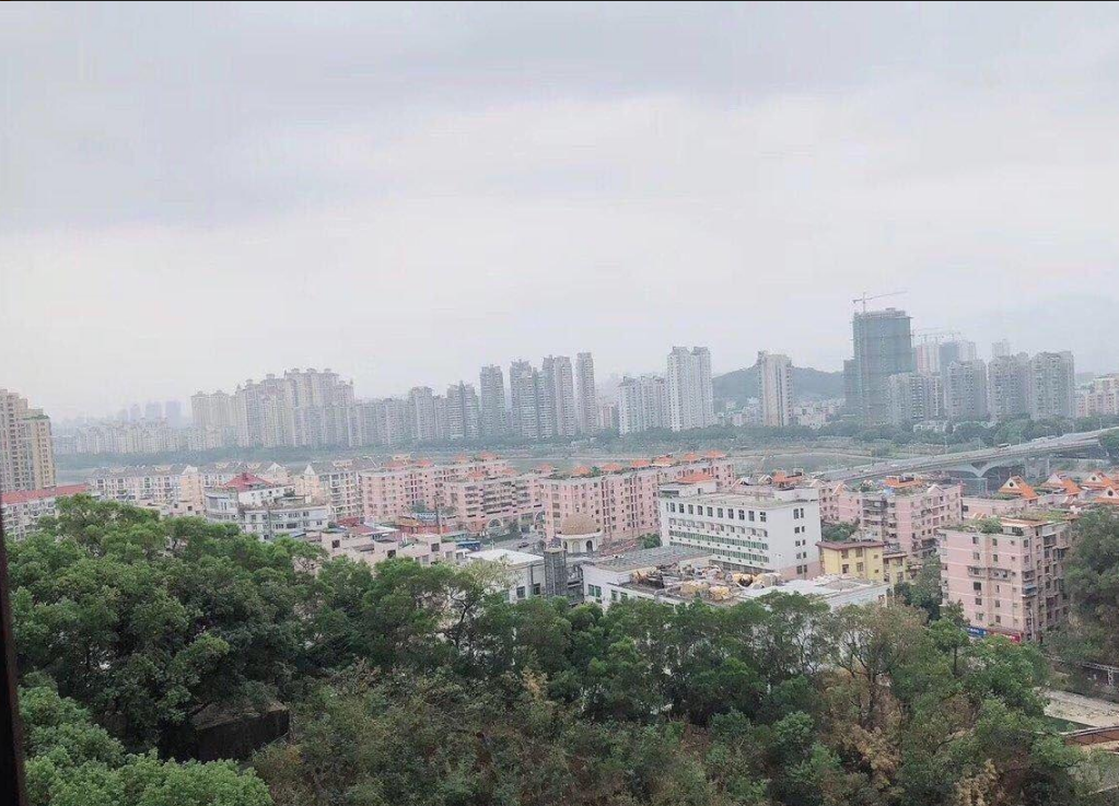 海楼网