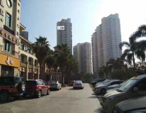 海楼网