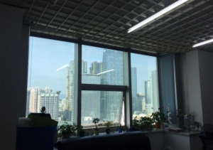 海楼网