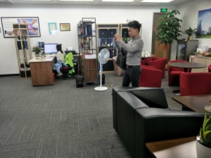 海楼网