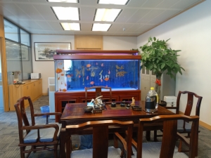 海楼网