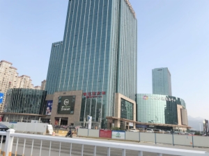 海楼网
