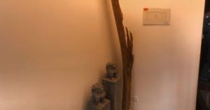 海楼网