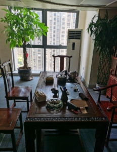 海楼网