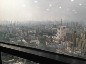 海楼网