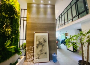 海楼网