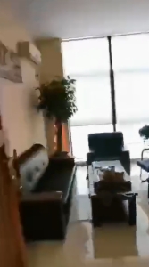 海楼网
