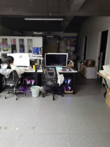 海楼网